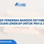 Cara Cek Penerima Bansos Oktober 2025: Panduan Lengkap untuk PKH & BPNT